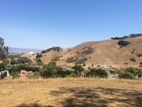River View - Overlooking LPR Phase I and Spreckels